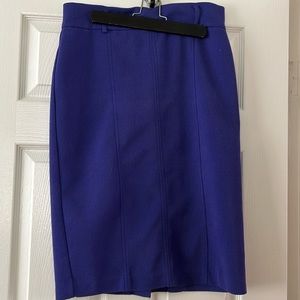 Ann Taylor skirt
